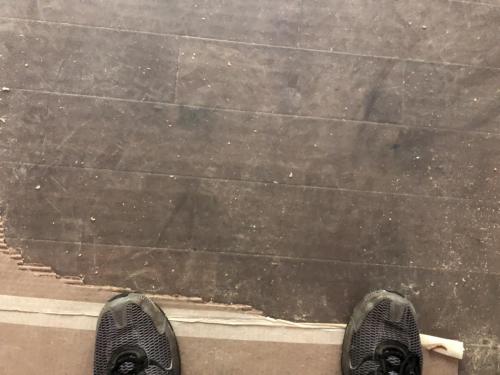 IMG 3884